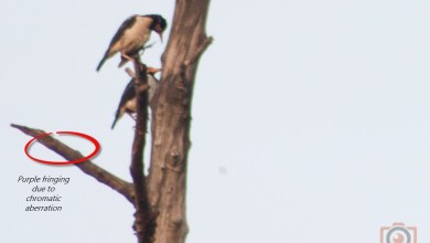 example of chromatic aberration