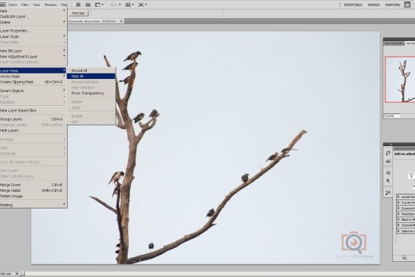 Apply layer mask in photoshop