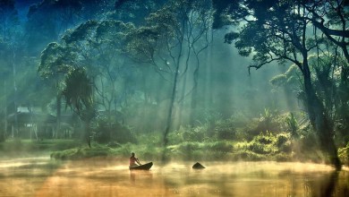 Photo of 30 Amazing landscape photographs