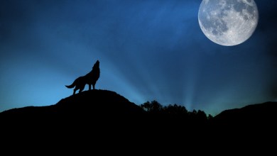 Photo of 30 incredible examples of night photography