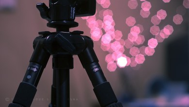 Photo of 14 tips to prevent blurry photos