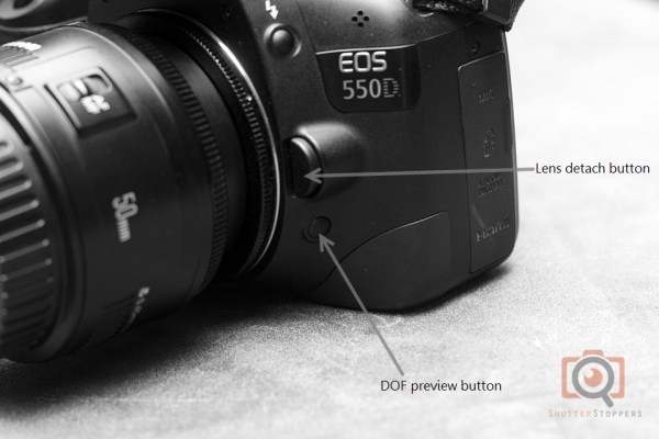 Use of DOF preview button for reverse lens macro photography 