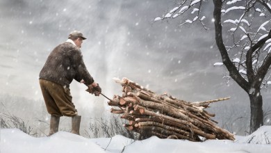 Photo of 5 more tips to improve your photography