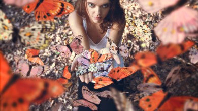 Photo of 15 tips to Improve your Photography