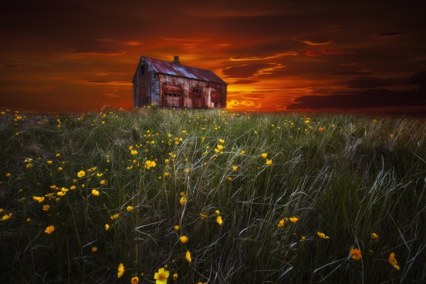 a rusty shack in a field 