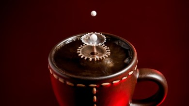 Photo of Creative Still Life Photography Tips