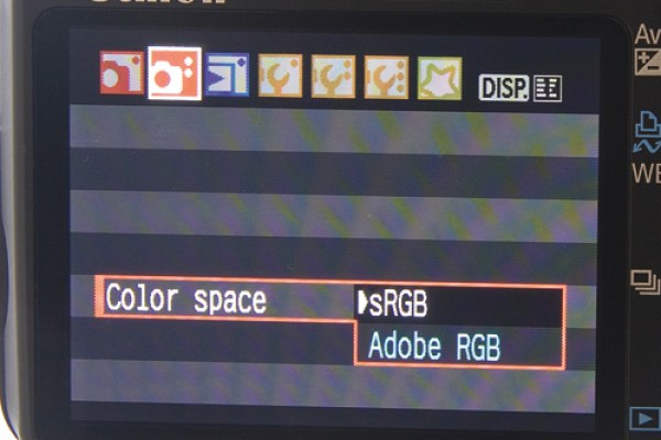 Color space menu on canon DSLR