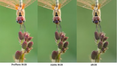 Photo of Understanding Color Spaces and Color Models