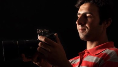 Photo of Fabulous High Magnification Macro Photography by Omid Golzar