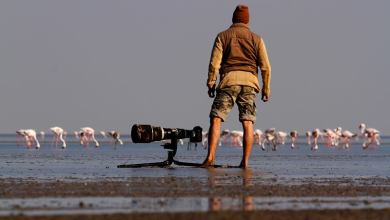 Photo of Interview With Award Winning Wildlife Photographer Sudhir Shivaram