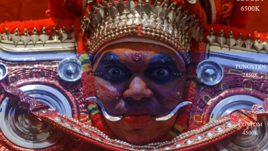 Photo of Introduction to White Balance