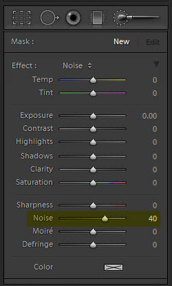 Lightroom 4 adjustment brush noise reduction