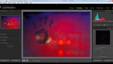 Photo of Lightroom 4 Noise Reduction Tutorial — Part 2