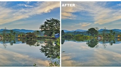 halos before and after views -- remove halos