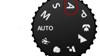Photo of How to Use Aperture Priority Mode in Your Digital Camera