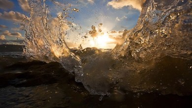 Photo of 3 Directions Of Light Every Beginner Should Know