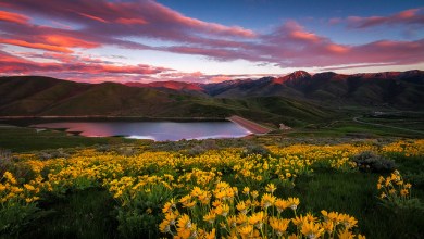 Photo of Innovative Landscape Photography Tips and Tricks You Have Never Tried Before