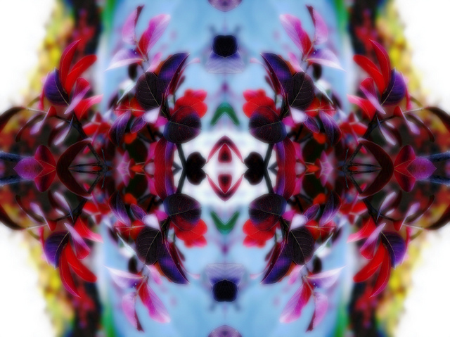 surreal photography with flora