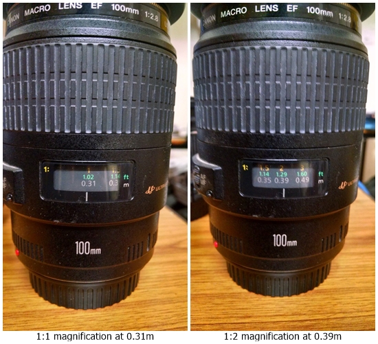 comparison of magnification by canon 100mm macro lens