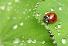 Photo of Macro Photography Tips and Tutorial — Complete Guide