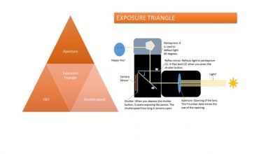 Photo of A Practical Guide to Master Exposure Triangle in Digital Photography (Step by Step Illustrations)
