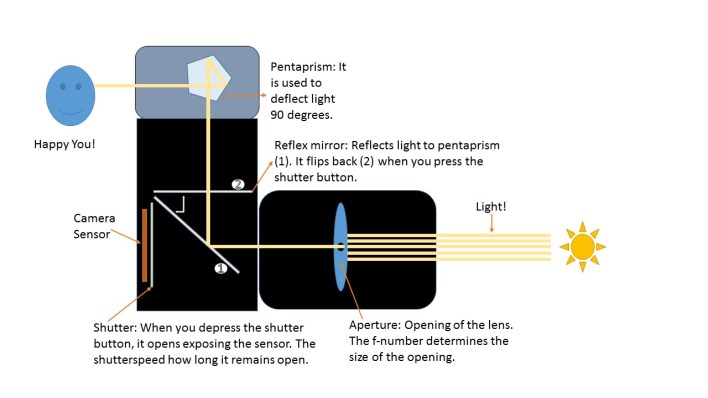 Illustration of how DSLR camera works 