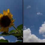 fill flash comparison