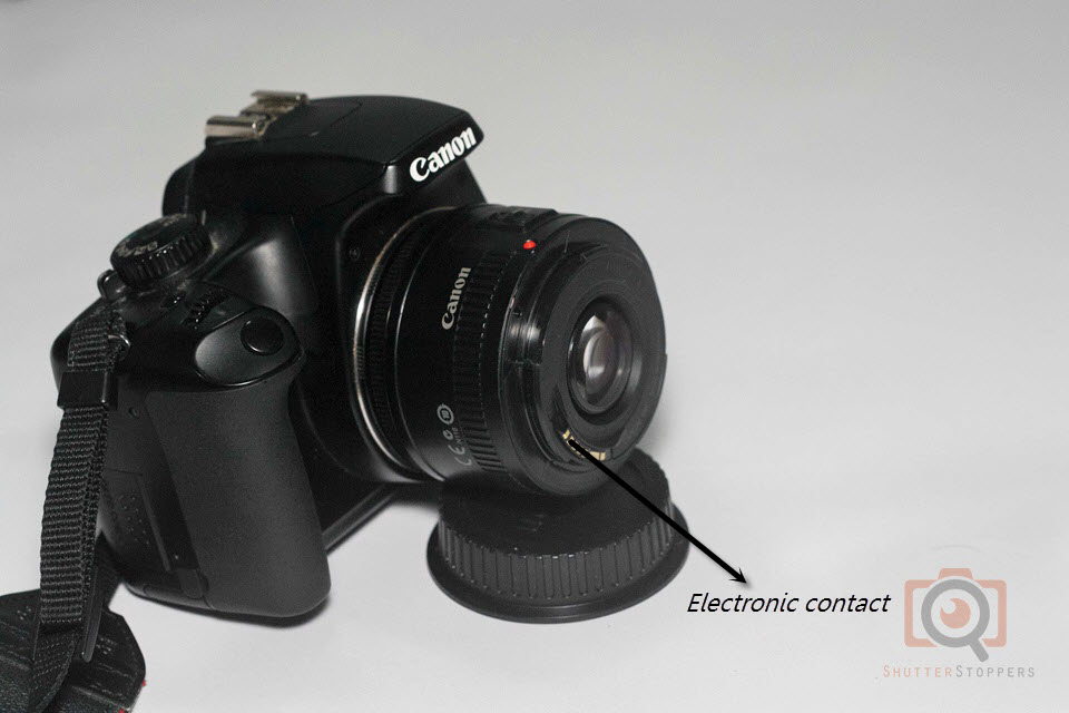 50mm lens reverse mounted -- reverse lens technique