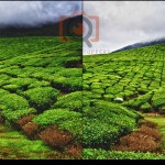 How to resize images in photoshop