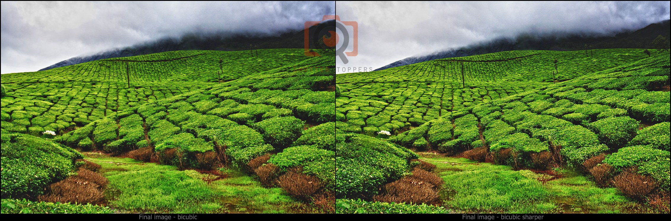 Before and after of image resize in photoshop