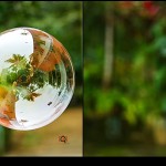 before and after of over sharpened image