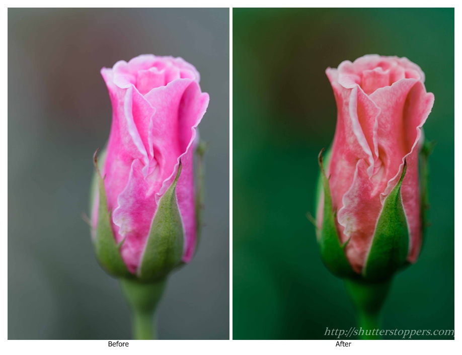 Subtle green lightroom preset