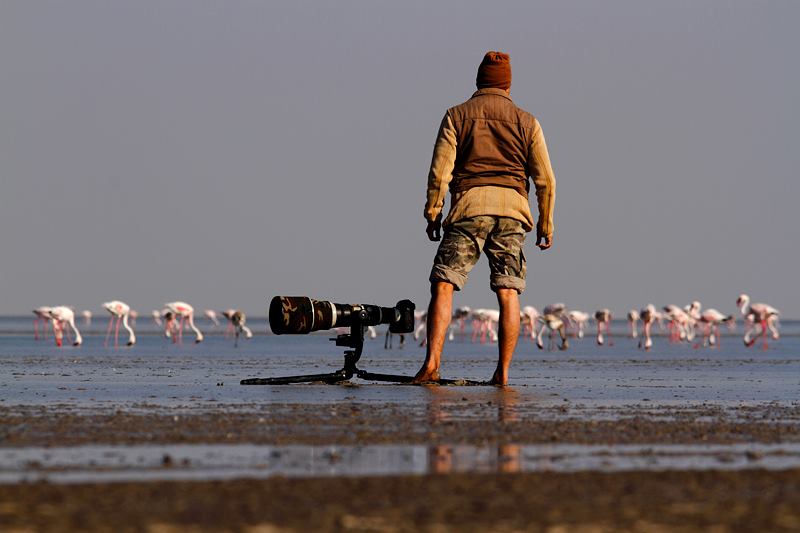 Wild life photographer sudhir shivaram on location