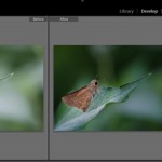 Lightroom 5 Beta Released