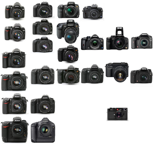 DSLR Cameras