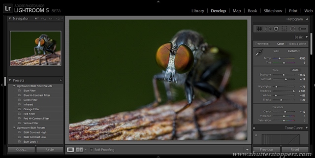 Lightroom 5 beta tutorial: Exploring New Features To Enhance Photographs Step 3 global exposure adjustment Lightroom 5 beta tutorial: Exploring New Features To Enhance Photographs