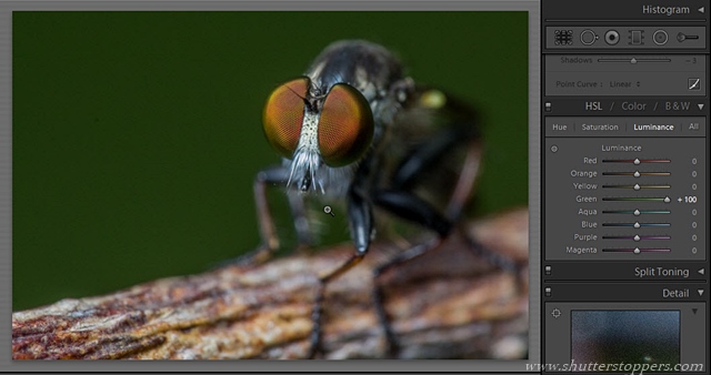 Lightroom 5 beta tutorial: Exploring New Features To Enhance Photographs luminance adjustment step 41 Lightroom 5 beta tutorial: Exploring New Features To Enhance Photographs